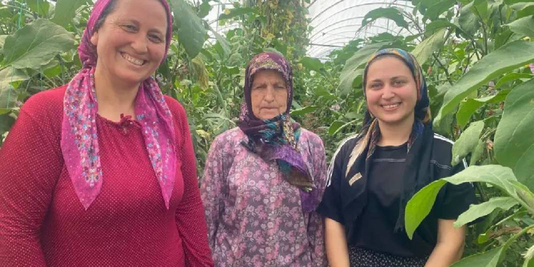 Nineden toruna geçen üretim! 3 kuşaktır yaz-kış demeden hasat yapıyorlar 2